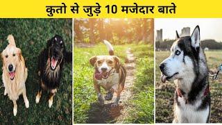 कुतो से जुड़े 10 मजेदार बाते | Top 10 Intresting Facts About Snakes | Amazing Facts | #shorts