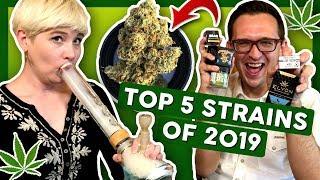 TOP 5 Favorite STRAINS of 2019