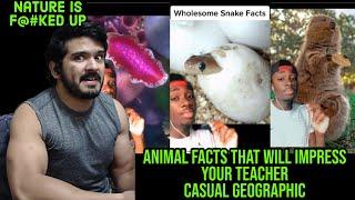 Animal Facts that will Impress Your Teacher for 10 minutes Straight reaction