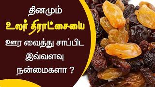 உலர் திராட்சையின் பயன்கள் | Top 10 Health Benefits of Dry Grapes | Increase Hemoglobin / Weight Gain