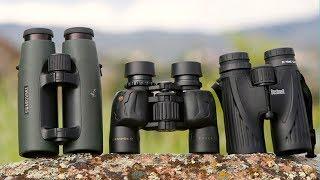 Best Binoculars for The Money - Top 10 Binocular Reviews