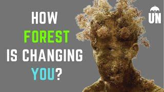 How Forest Brings Change in You ? | Top 10 Benefits of forest | International Day Of Forest 2020