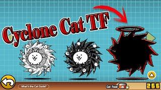 The Battle Cats - Cyclone Cat True Form (No Boosted)