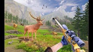 Wild Deer Hunting Adventure | Animal Shooting Android GamePlay | By Game Crazy