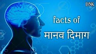 #humanbrain #DNKTECHNICAL  मानव दिमाग के कुछ रोचक तथ्य || top 10 fact of human brain