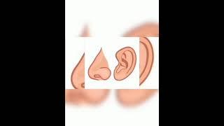 Top 10 fact  #informative guy #shorts #humans