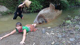 Primitive Life - Primitive Unique Hand Fishing Catch Big Fish For Survival