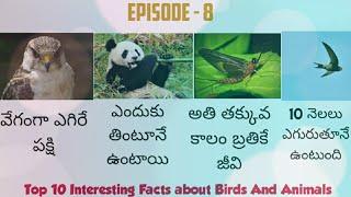 Top 10 Facts About Birds and Animals in Telugu