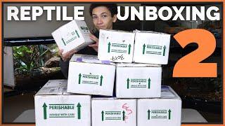 Unboxing More Reptiles! 9 New Injured and Rehomed Animals