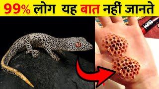 99 प्रतिशत लोग ये बात नहीं जानते | Top 10 Random Facts In Hindi