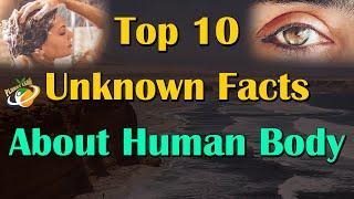 Top 10 Unknown Facts About Human Body | Planet Leaf