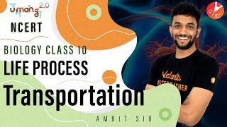 Life Process L3 | Transportation CBSE Class 10 Biology NCERT | Umang 2020 | Vedantu Class 9 and 10