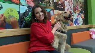 Shodair's facility dog brings hope to patients and staff