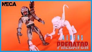 NECA Toys Classic Kenner BERSERKER PREDATOR & NEOMORPH ALIEN Action Figure Review