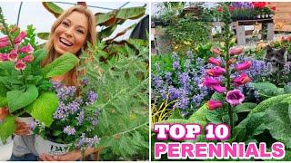 Top 10 Perennials | Sunny Varieties We Are Excited to Grow This Year // Garden Farm