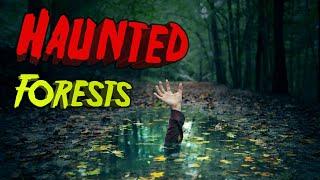 Top 10 Most Haunted Forests and 1 Island.