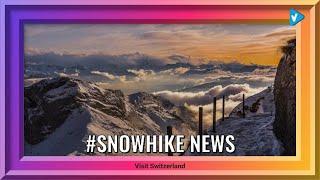 Top 10 #snowhike Posts & Updates, Starring: visitswitzerland