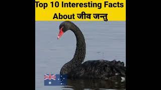 Top 10 facts about animals 