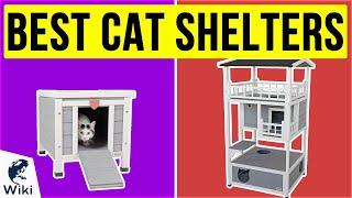 10 Best Cat Shelters 2020