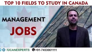 Top 10 field to Study in Canada (Management jobs)