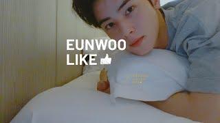 EUNWOO LIKE