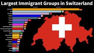 The Largest Immigrant Groups in Switzerland (By country of birth from 1960 to 2020)