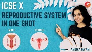 Reproductive System in 1 Shot | Male and Female Reproductive Systems | ICSE Class 10 Biology Vedantu