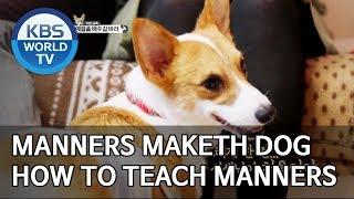 Manner Maketh Dog [Dogs are incredible/ENG/2019.12.04]