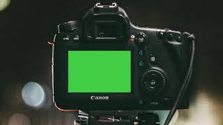 DSLR Camera Screen free green screen