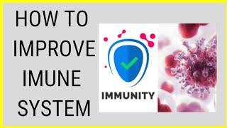 Top 10 Facts To Improve Imune System