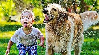 Top Ten 10 Best Dog Breeds For Family Children Kids