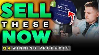 20 WINNING Q4 PRODUCTS!! (BEST Problem Solving & Trendy Products) | Shopify Dropshipping 2020