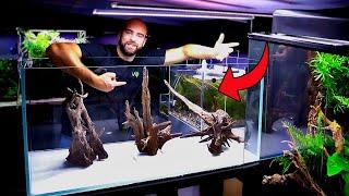 BEST Thing About Aquariums | Saying Goodbye To Pets | STUNNING Wood For NEW Asian Aquarium