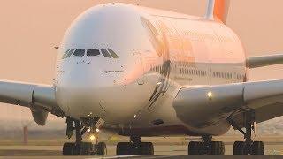 SPECTACULAR Plane Spotting | A380 B777 A350 B787 | Melbourne Airport Plane Spotting