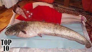 Top 10 Funniest Russian Dating Site Profile Pictures - Part 2