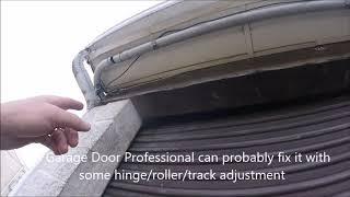 Garage Door Raccoon |  Gap at Top of Garage Doors Give Raccoons Opportunity to Get In