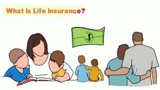 Top 10 Insurance Company In Usa || Best Insurance Company Extra with SPR