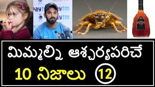 Top 10 Unknown Facts in Telugu | Interesting and Amazing Facts | Part 12 | Minute Stuff