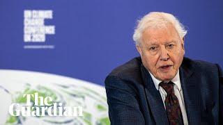 Attenborough endorses government's climate action promises