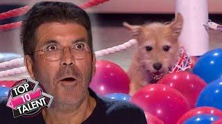 10 UNFORGETTABLE WORLD RECORD Auditions On Got Talent!