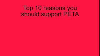 Top 10 reasons you should support PETA