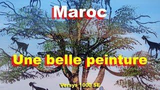 Maroc 01 Peinture top case Versys 1000 SE