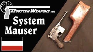 "System Mauser" - The Very First C96 Pistols